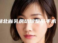 湖北省乳房切除整形手术医院推荐:乳房切除整形医院前30谁做的好